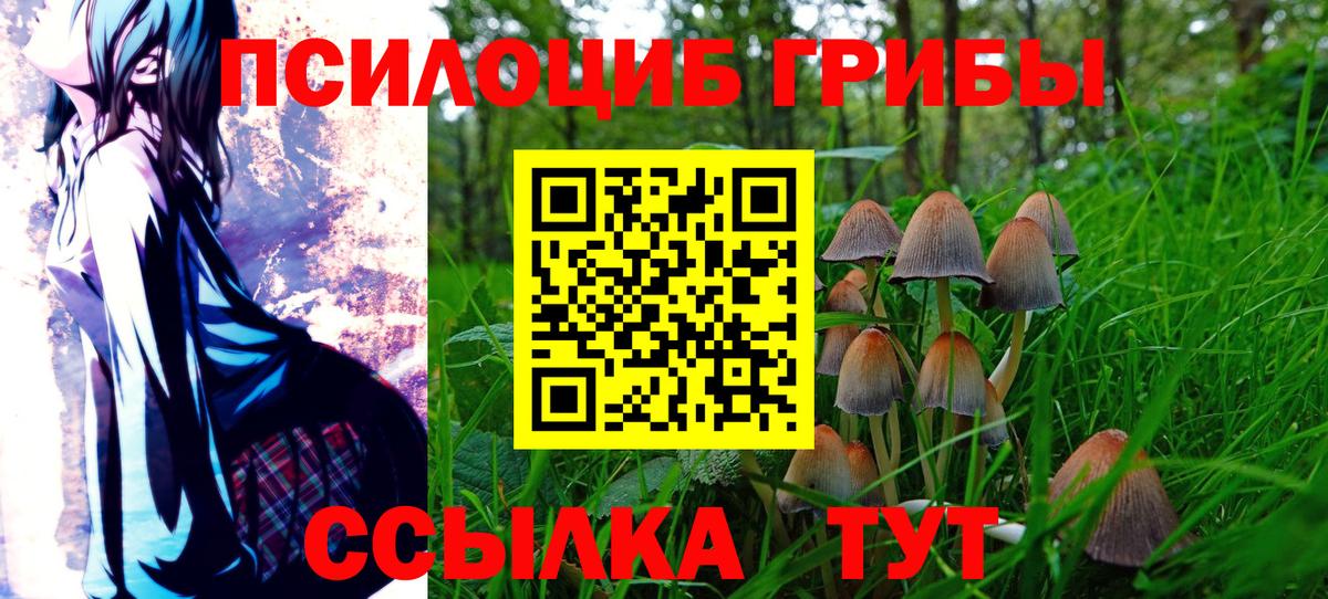 Псилоцибиновые грибы ЛСД  Галлюциногенные грибы Psilocybine cubensis  Вход с VPN  Красный Сулин 